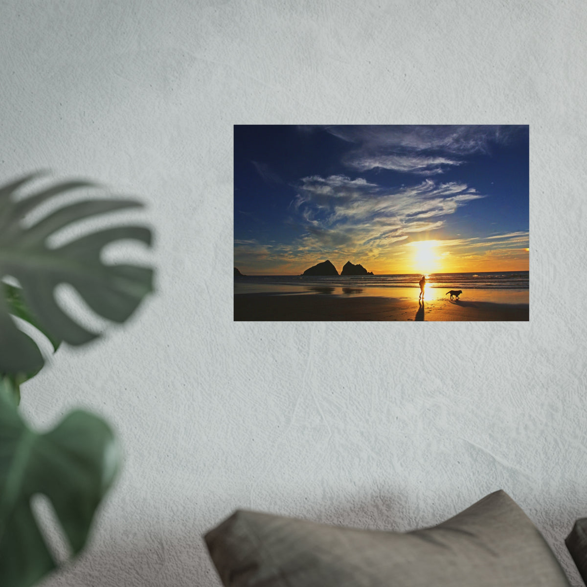 Fine Art Posters
