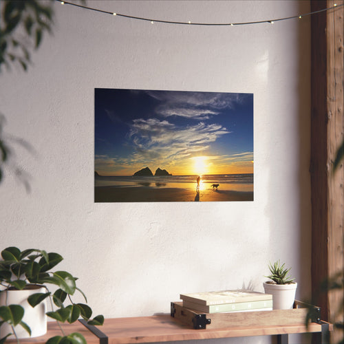 Fine Art Posters