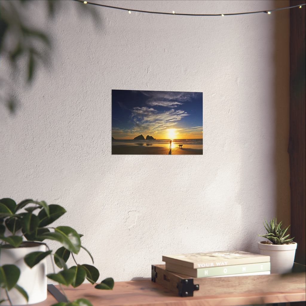Fine Art Posters